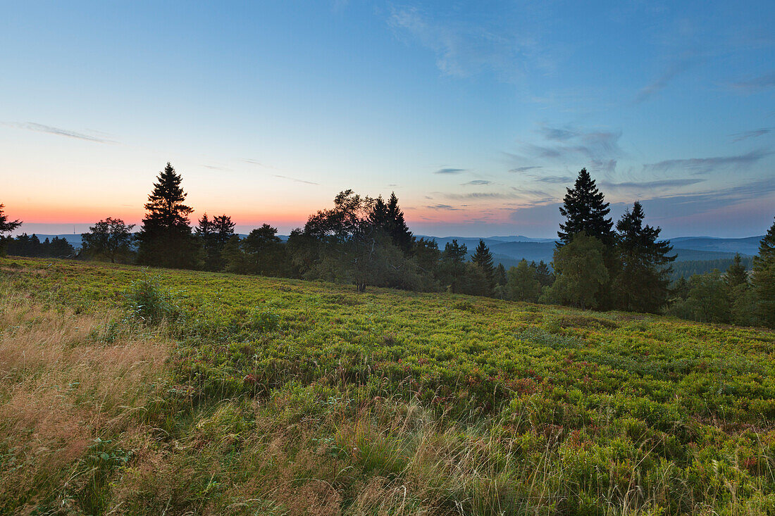 Am Kahlen Asten, bei Winterberg, Rothaarsteig, Rothaargebirge, Sauerland, Nordrhein-Westfalen, Deutschland