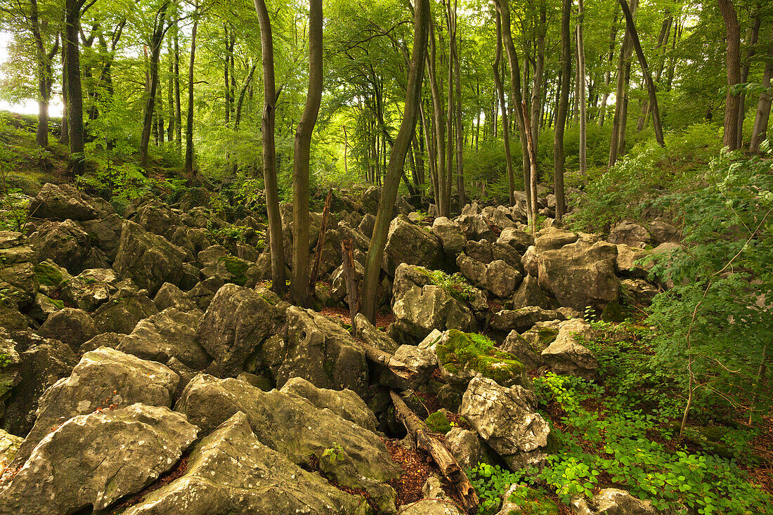 Rock formation Felsenmeer, near Hemer, Sauerland region, North Rhine-Westphalia, Germany