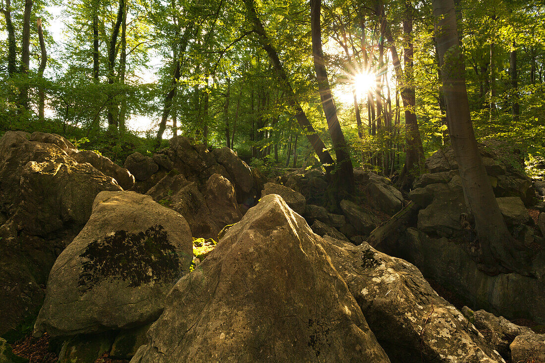 Rock formation Felsenmeer, near Hemer, Sauerland region, North Rhine-Westphalia, Germany