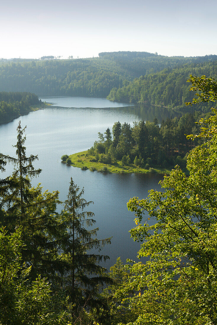 Saale-Stausee, Naturpark Thüringer Schiefergebirge / Obere Saale, Thüringen, Deutschland