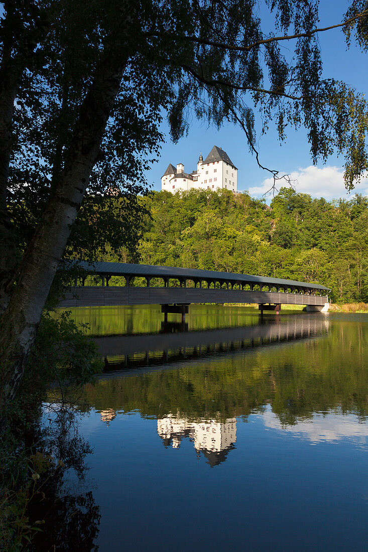Burgk castle, nature park Thueringer Schiefergebirge / Obere Saale,  Thuringia, Germany