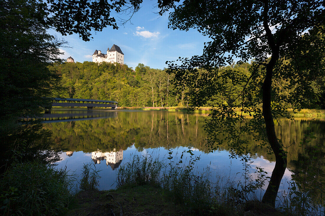 Burgk castle, nature park Thueringer Schiefergebirge / Obere Saale,  Thuringia, Germany