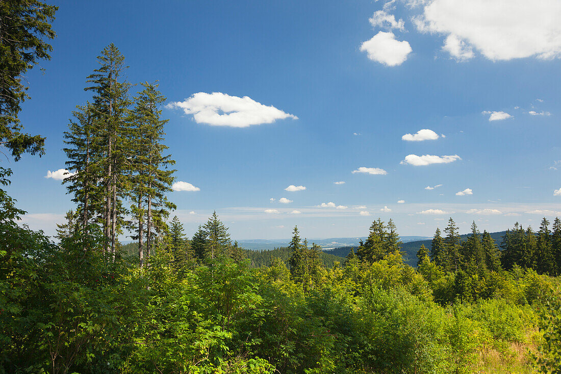 Goethe hiking trail to Kickelhahn hill, near Ilmenau, nature park Thueringer Wald,  Thuringia, Germany