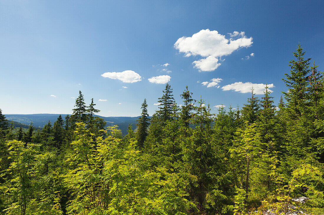 View from Kickelhahn hill, near Ilmenau, Goethe hiking trail, nature park Thueringer Wald, Thuringia, Germany