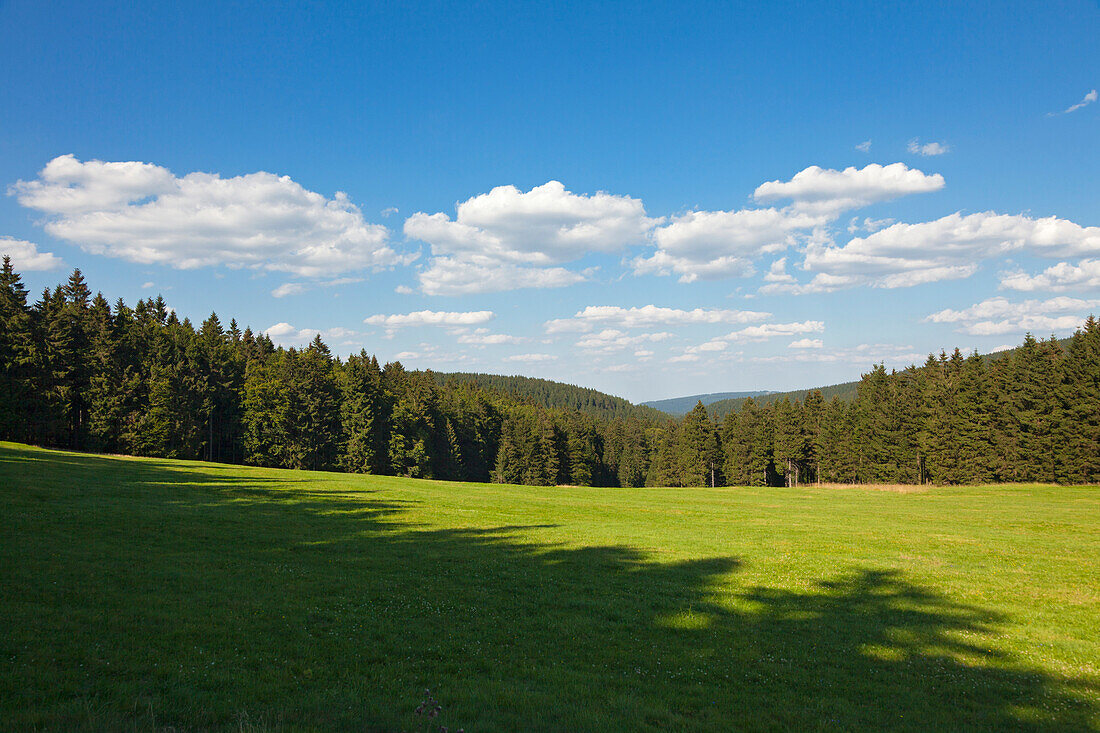 Landscape at the Rennsteig hiking trail, near Schmuecke, nature park Thueringer Wald,  Thuringia, Germany
