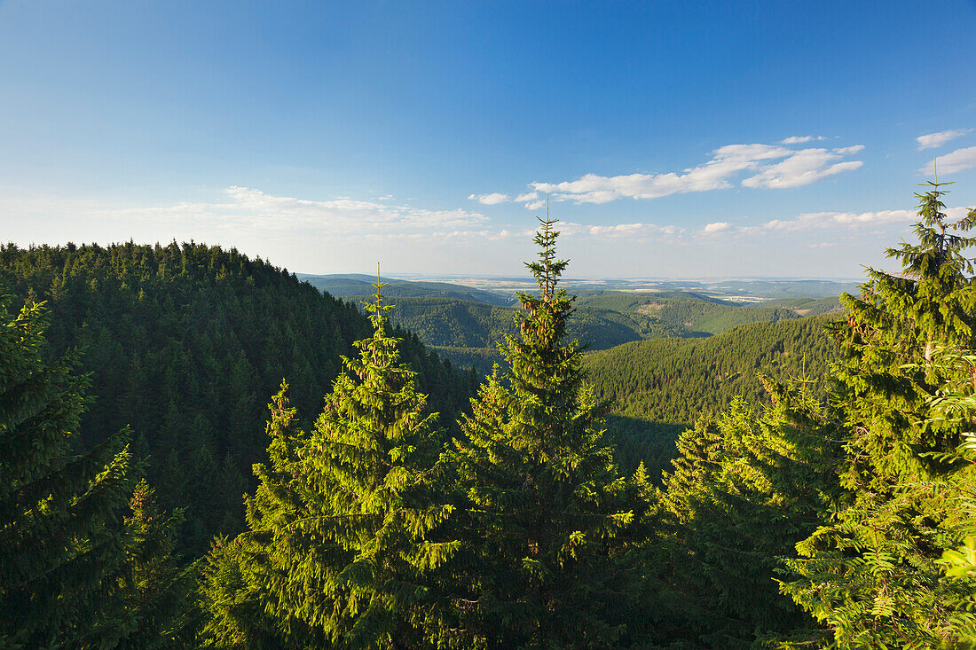 View from Teufelskanzel on Schneekopf hill, nature park Thueringer Wald, Thuringia, Germany