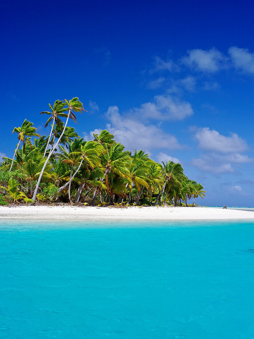 Tropical paradise, Barefoot Island, Aitutaki, Cook Islands