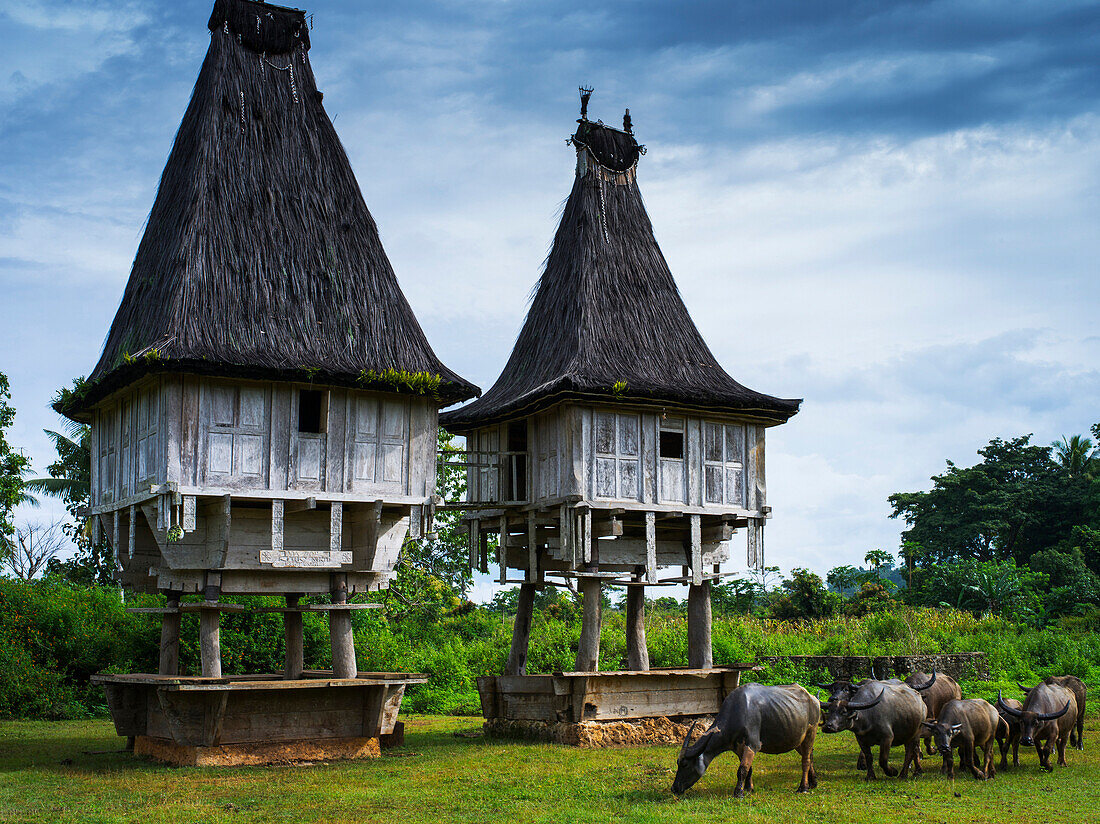 Traditional sacred houses in Lospalmos district, Timor-Leste