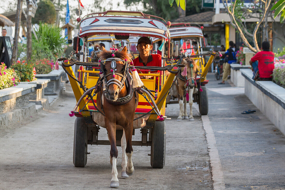 Cidomo, a horse-drawn carriage, Gili Trawangan, West Nusa Tenggara, Indonesia