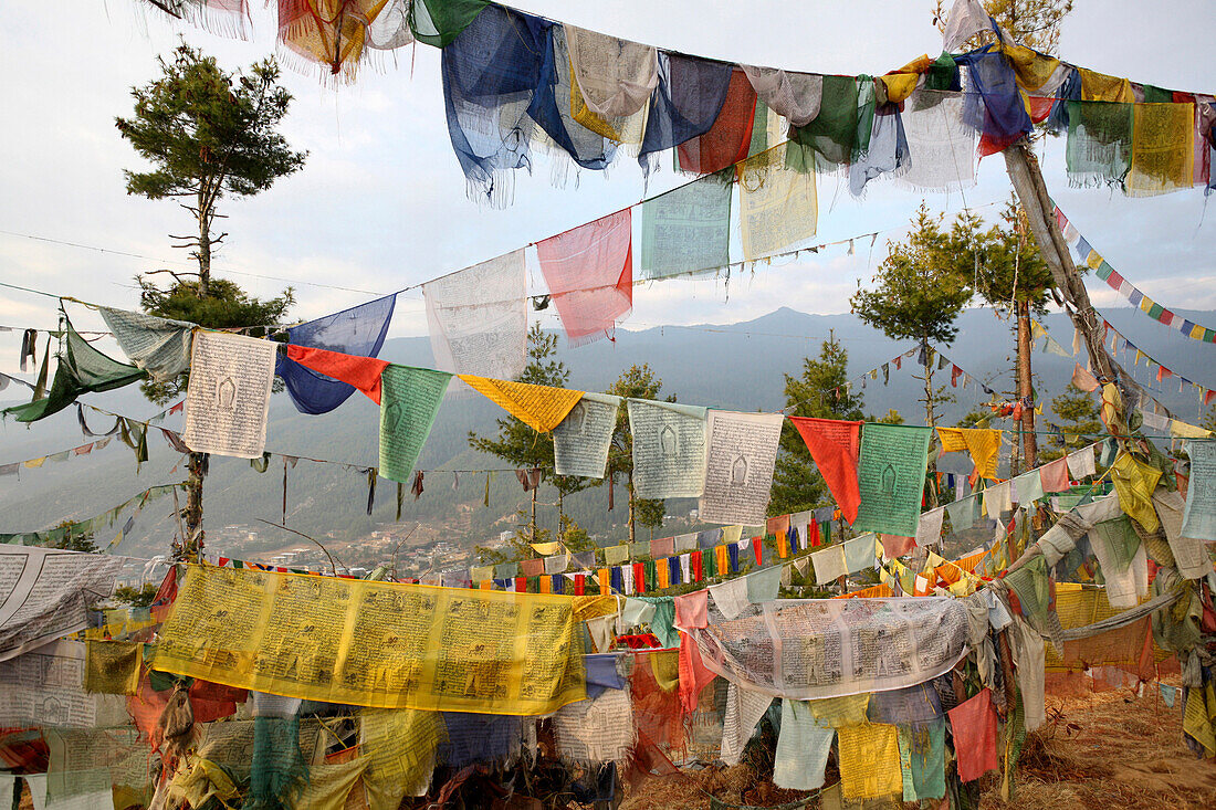 Buddhist Prayer Flags Above, Thimphu, Bhutan