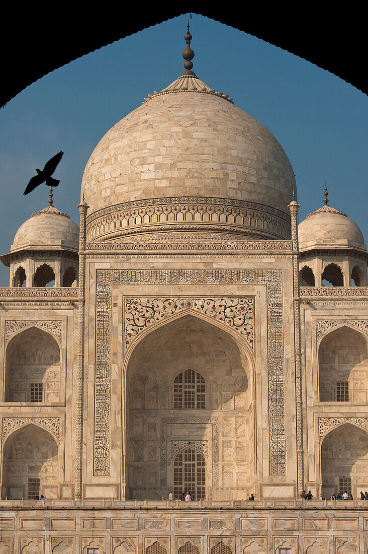 Silhouette of pigeon flying into doorway in front of Taj Mahal, Agra, India