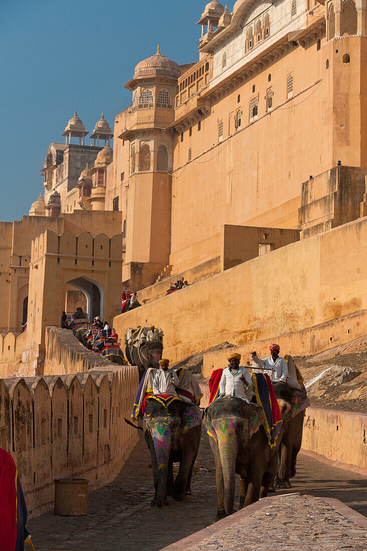 Elephants going up and down path to Amber Fort, Amer, Jaipur, India