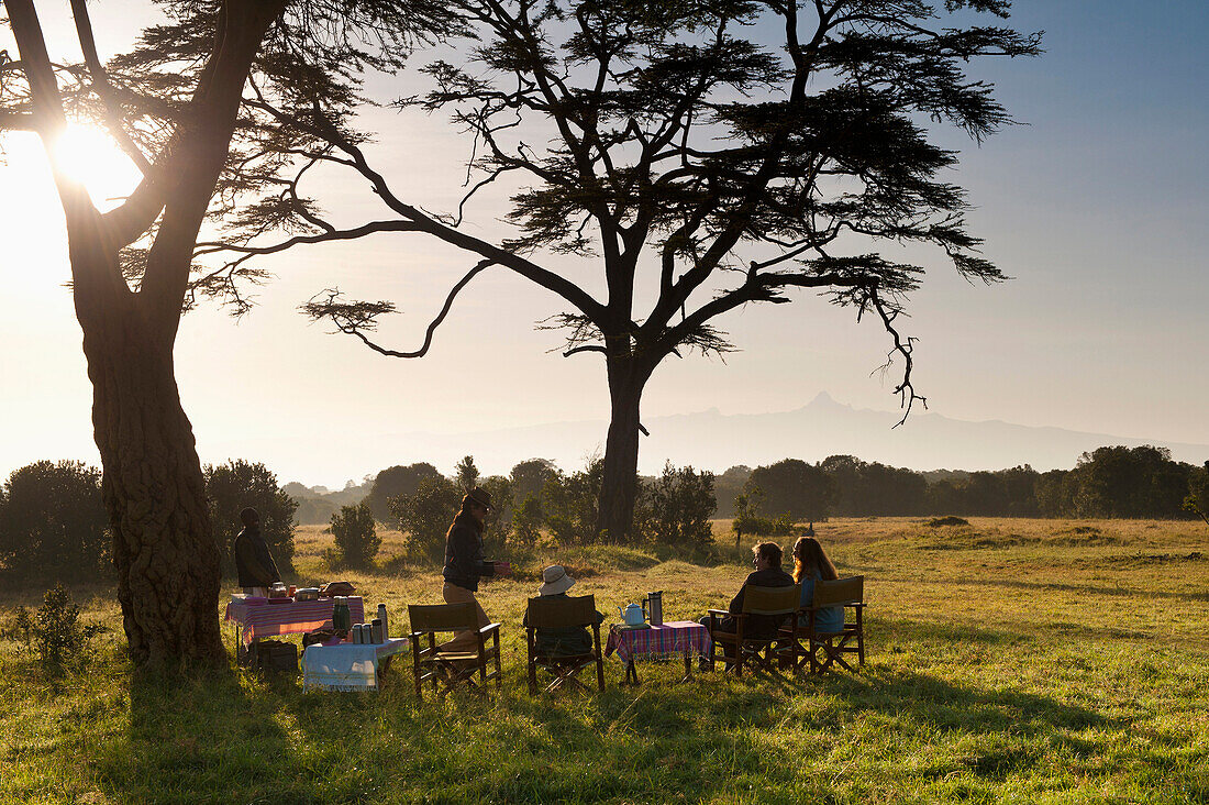 Bush breakfast under large acacia tree with Mt Kenya in the distance, Ol Pejeta Conservancy, Kenya