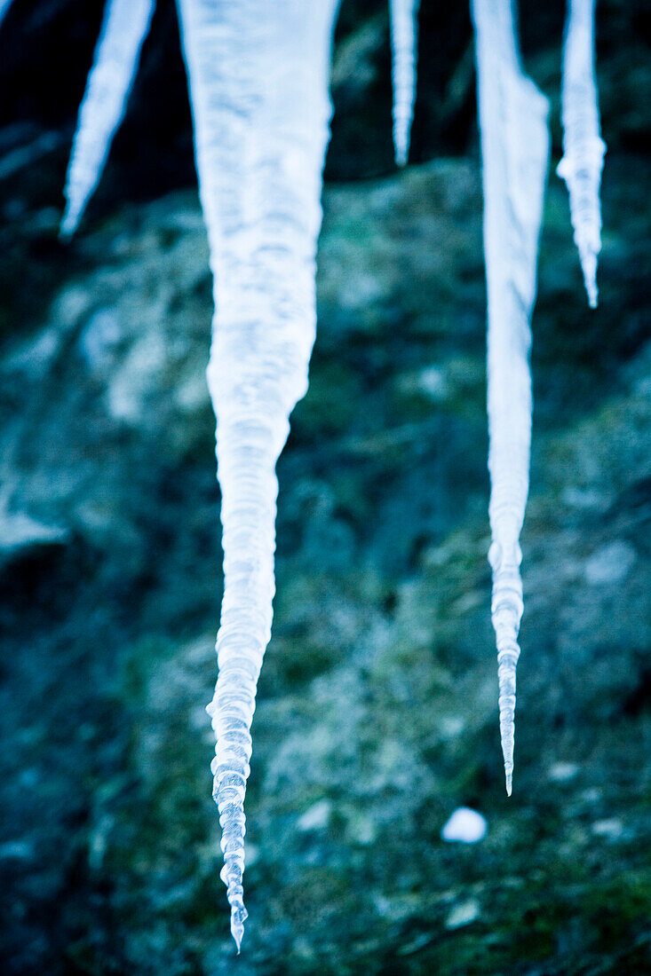 Icicles at the roadside from a frozen stream and waterfall caught in stasis, contrasting against the dark rocks, Ortnevik, Sognefjord, Norway