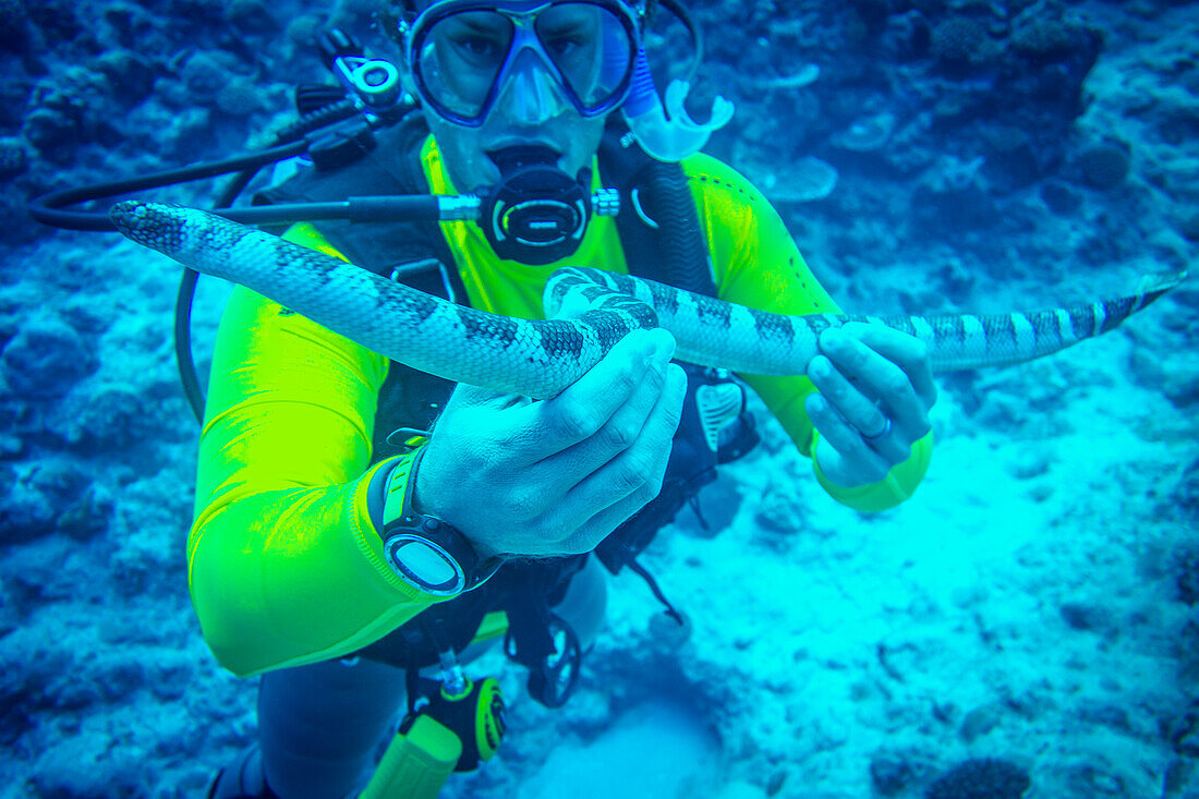 Handling a venemous snake in Niue's famed Snake Trench, Niue Island