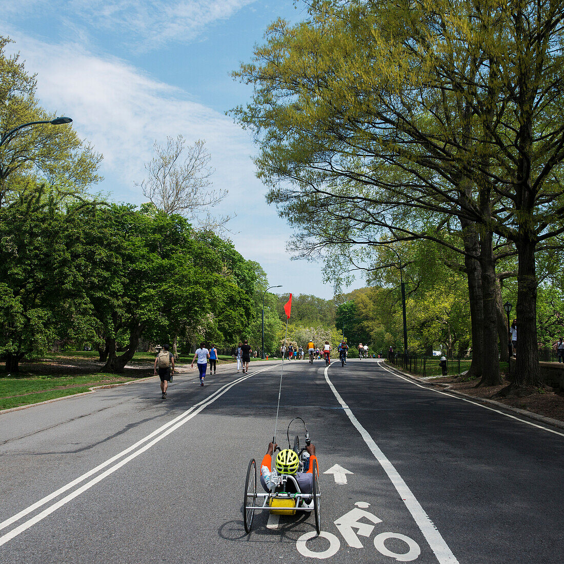 'Pedestrians, runners and cyclists on a park path; New York City, New York, United States of America'