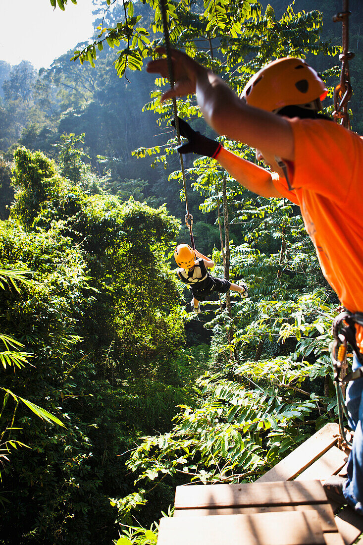 'Zip lines take you on an unparralled journey through the forest on the Flight of the Gibbons; Chiang Mai, Thailand'