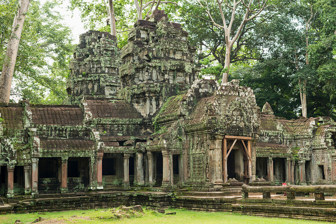'Ta Prohm, impressive temple in Angkor area built in the twelfth century; Siem Reap, Cambodia'