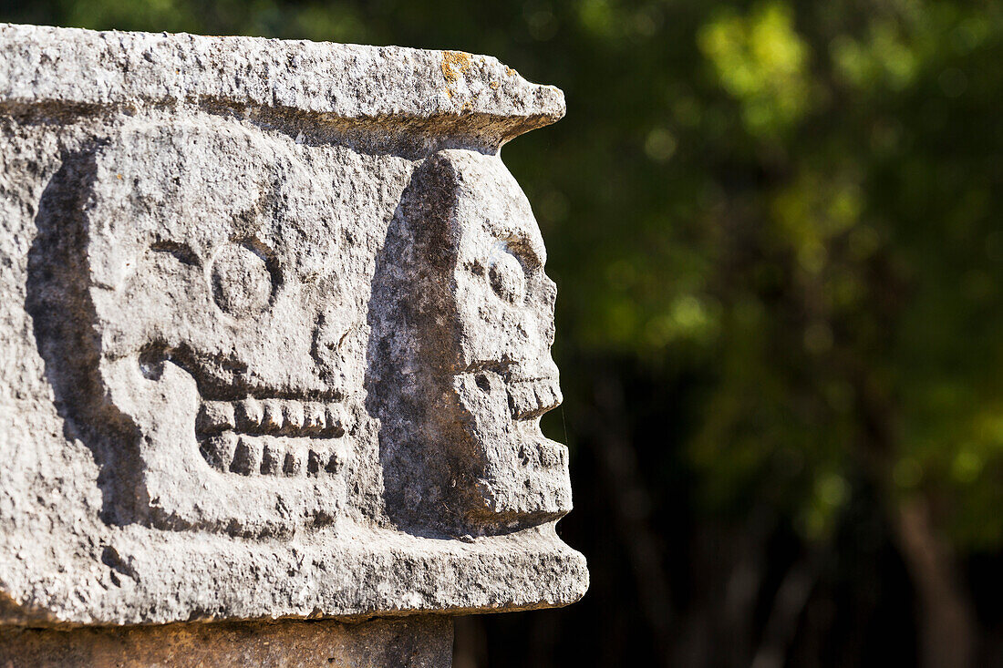 'Close up of Ancient Mayan rock carvings of skulls on edge of building with trees in background; Chichen Itza, Yucatan, Mexico'