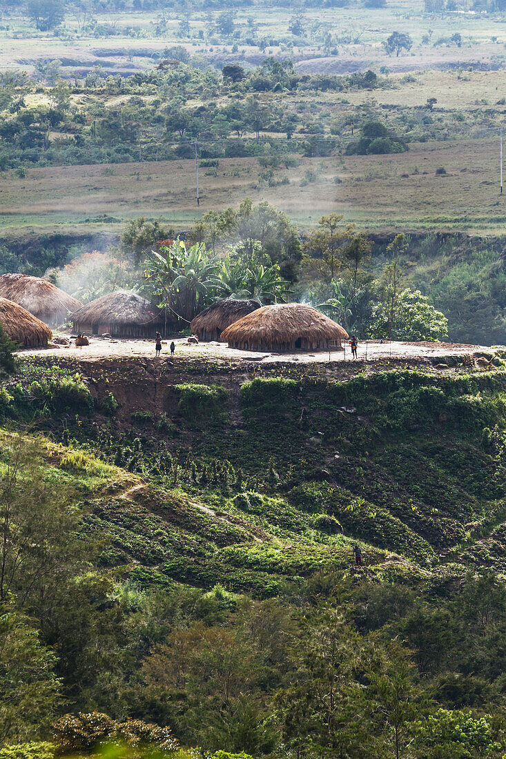 Dani village with  honai (huts) covered by thick thatched roofs near Wamena, Baliem Valley, Central Highlands of Western New Guinea, Papua, Indonesia