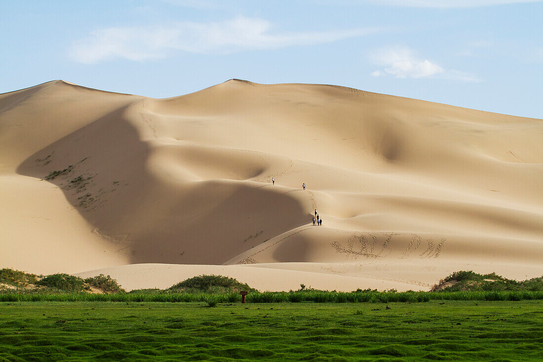 Seruun Bulag oasis by the sand dunes of Khongoryn Els, Gobi Gurvansaikhan National Park, Ömnögovi Province, Mongolia