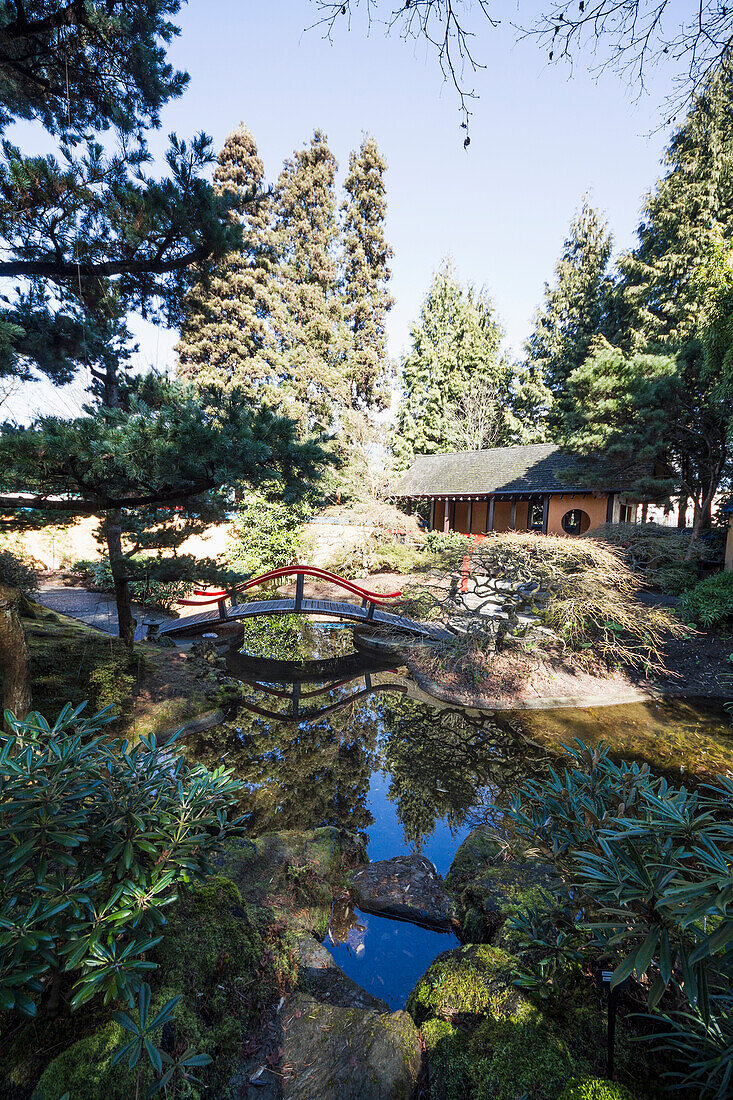 Pavilion and bridge over the pond in the Oriental Garden of Park and Tilford Gardens, North Vancouver, British Columbia, Canada