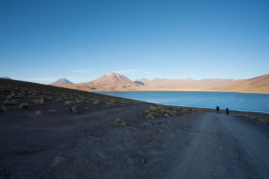 Laguna Miscanti In Antofagasta Region, Chile