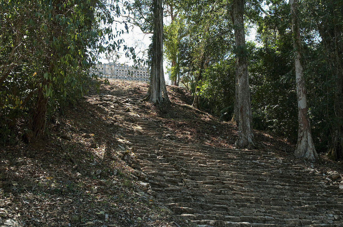 Stairs To Building 33, Yaxchilan, Chiapas, Mexico