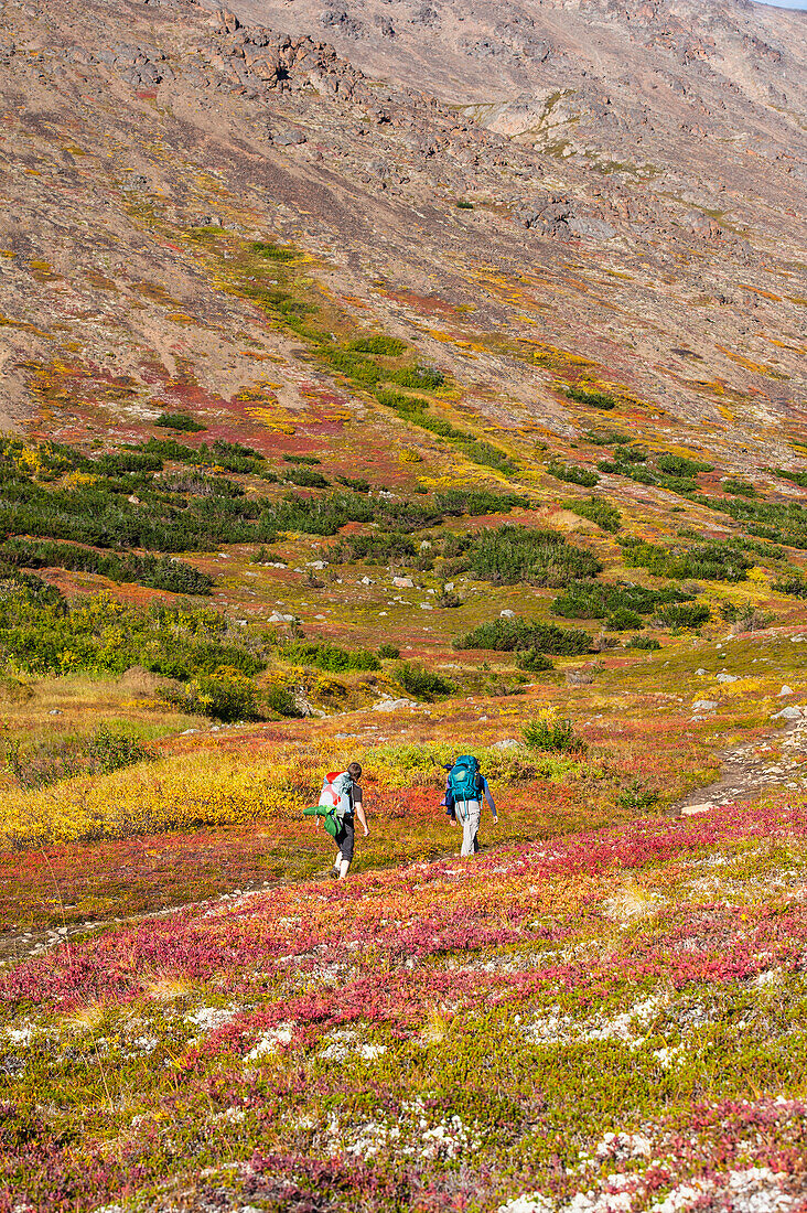 Three backpackers are hiking up the Hidden Lake Trail in the Chugach State Park on an autumn day in Southcentral Alaska.