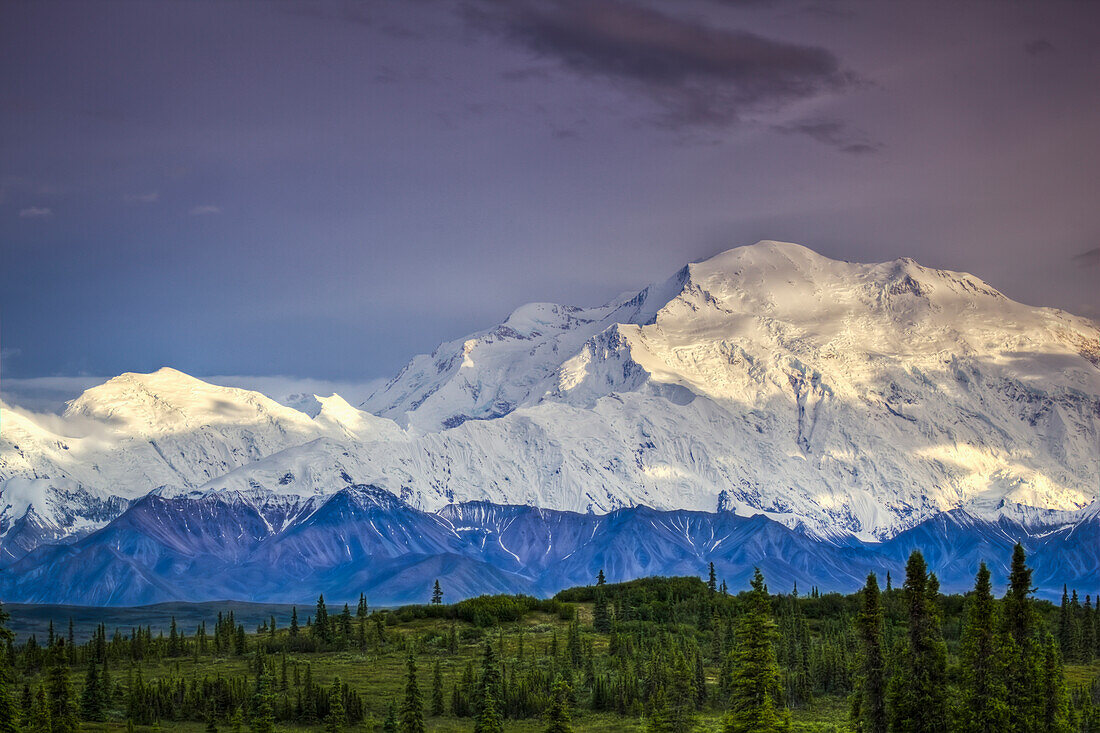 Scenic view of Mt. McKinley in the evening, Denali National Park & Preserve, Interior Alaska, Summer