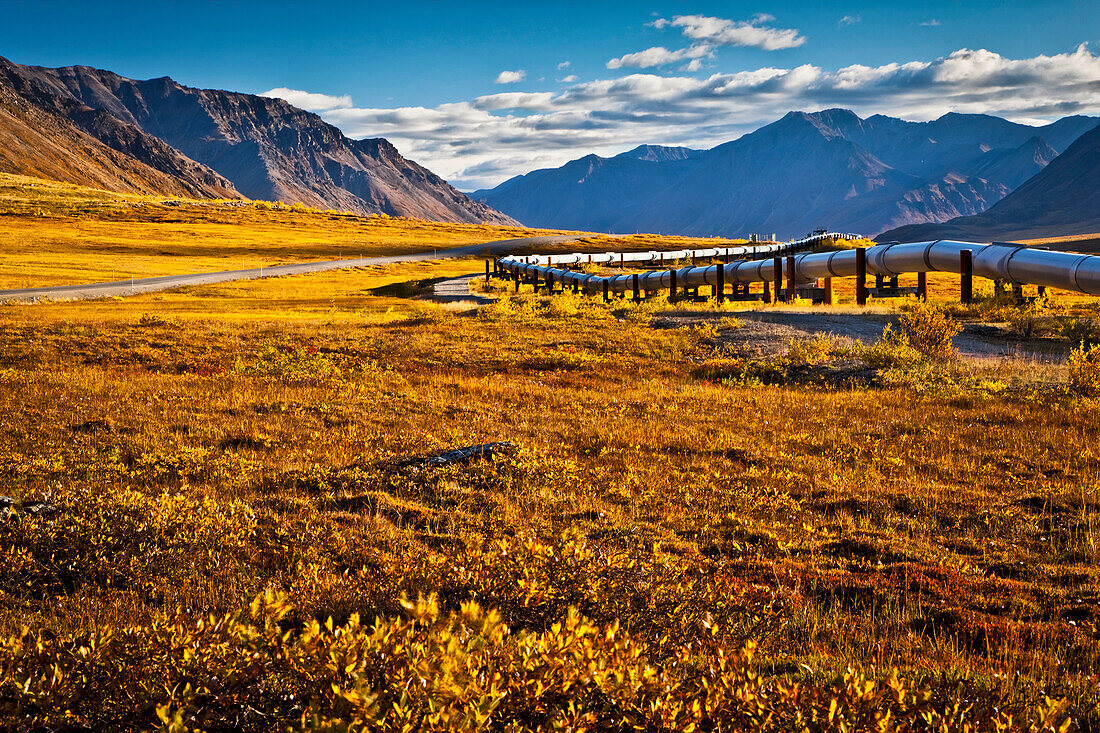 Scenic autumn view of golden tundra, the Brooks Range, Dalton Highway, and the Trans-Alaska pipeline, Arctic Alaska