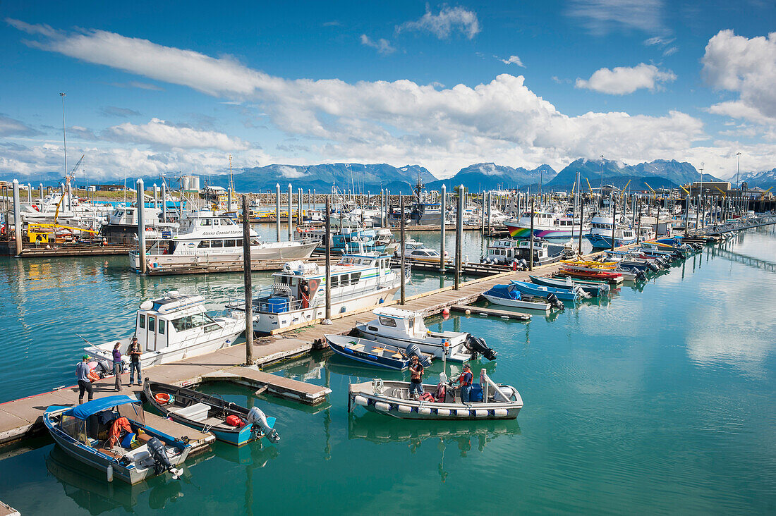 Boats docked in the Homer small boat harbor, Homer Spit, Kenai Peninsula, Southcentral Alaska, Summer