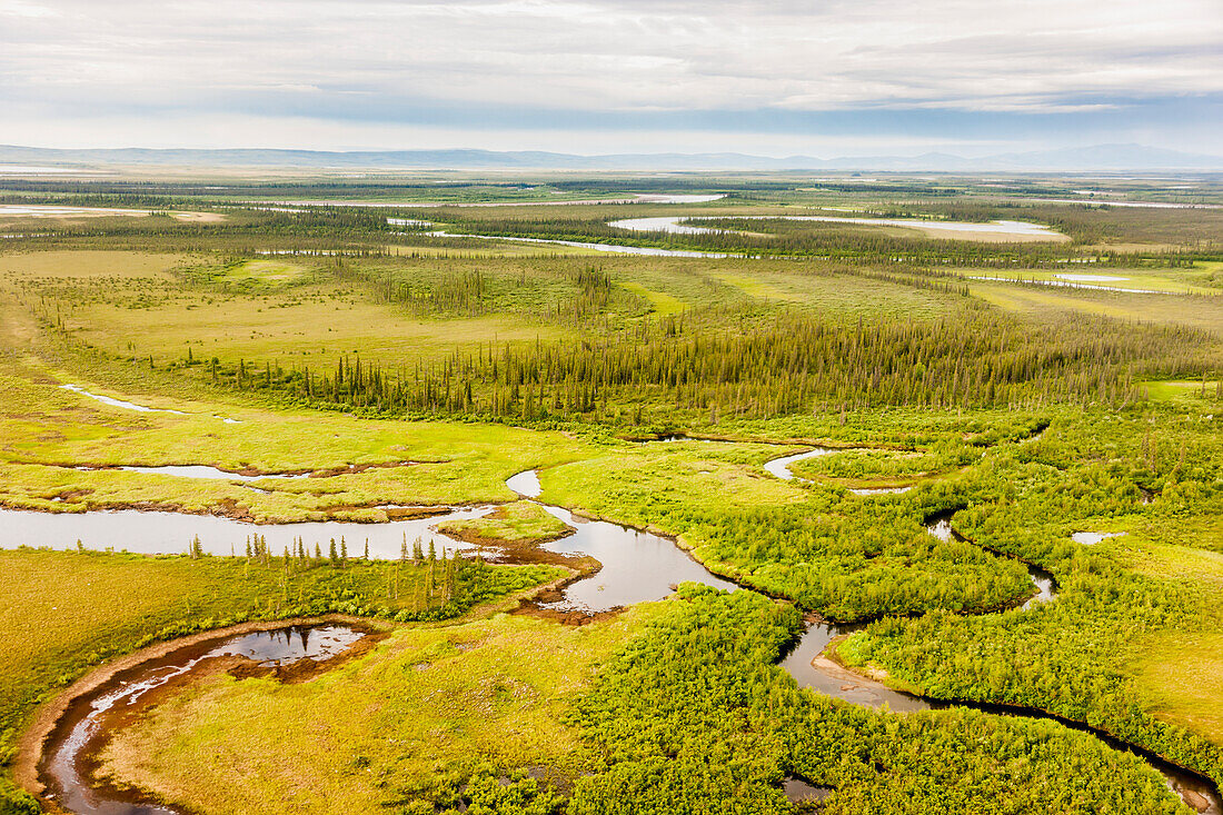 Aerial view of green tundra, wetlands, small lakes and streams, Arctic Alaska, summer