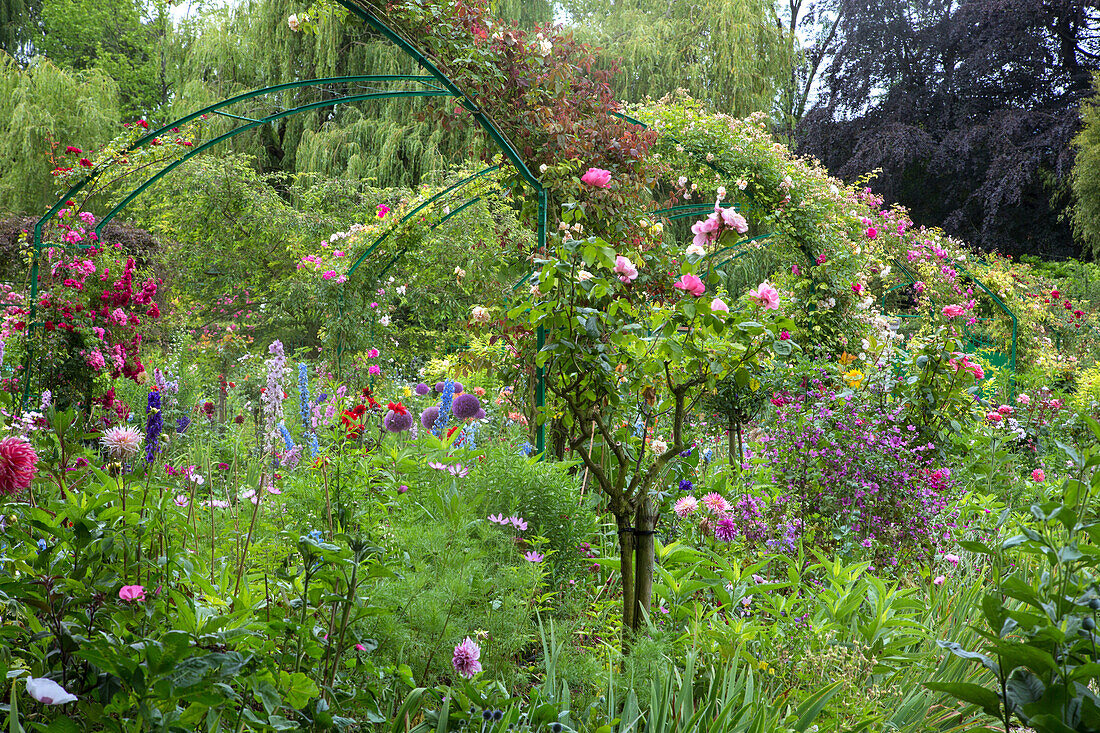 the garden of the clos normand at the impressionist painter claude monet's house, giverney, eure (27), normandy, france