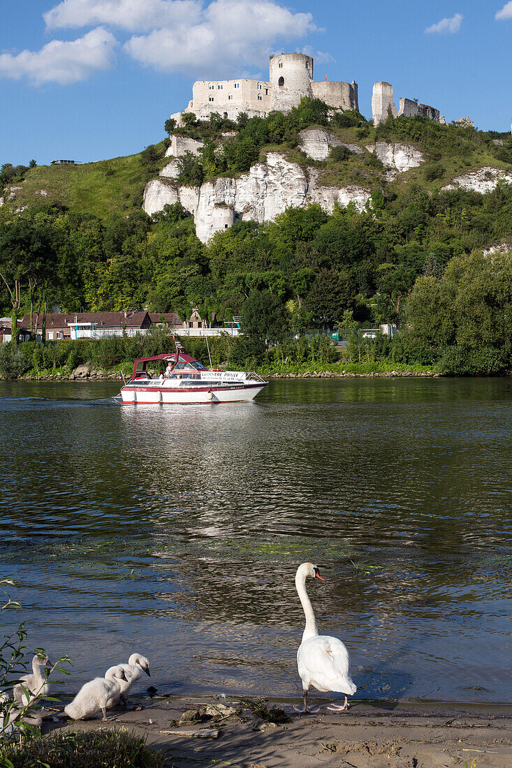 small private cruise boat liberte seine on the river in front of the medieval fortress of chateau gaillard built by the english king richard the lionhearted in 1198, les andelys, eure (27), normandy, france