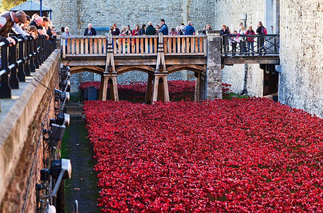 Ceramic poppies at the Tower of London commemorating the 100th anniversary of World War One, London, England