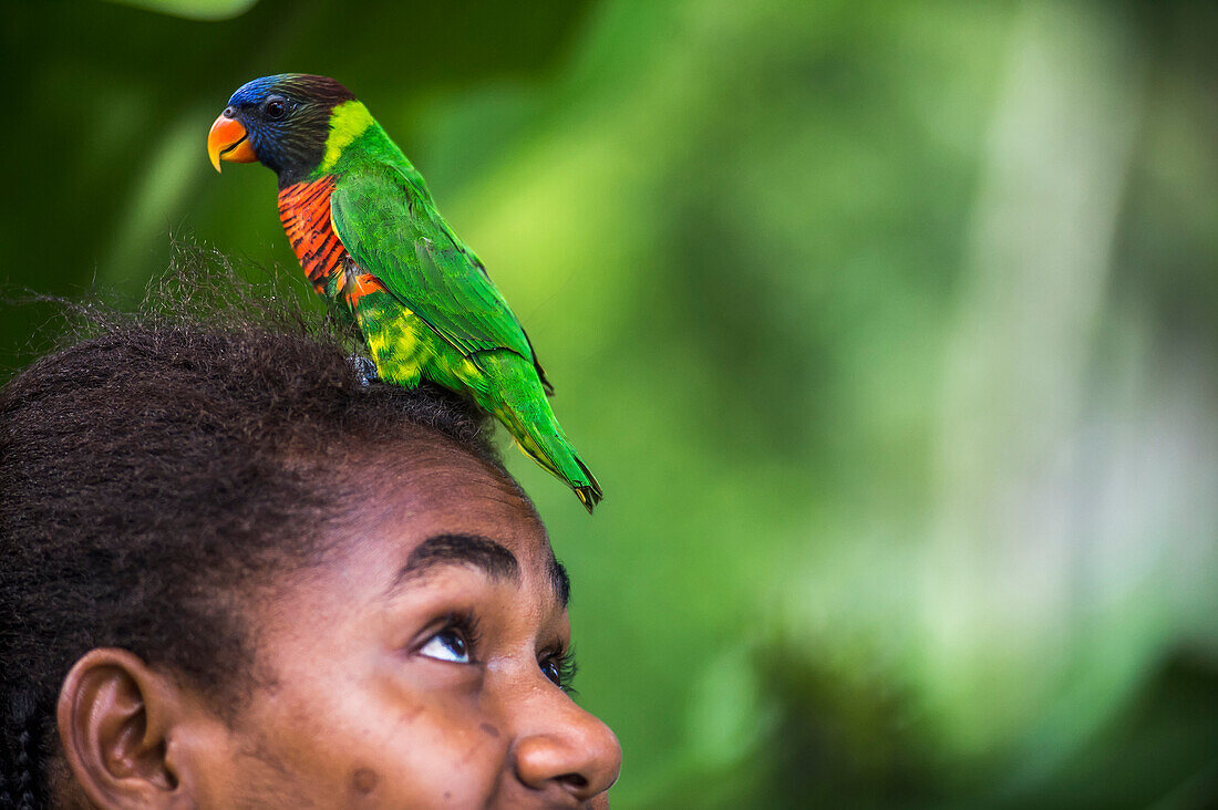 Young girl with a tropical bird resting on her head, Pentacost island, Vanuatu