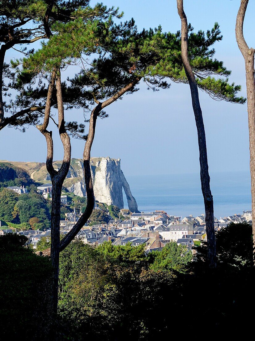 France,view of Etretat trough the vegetation