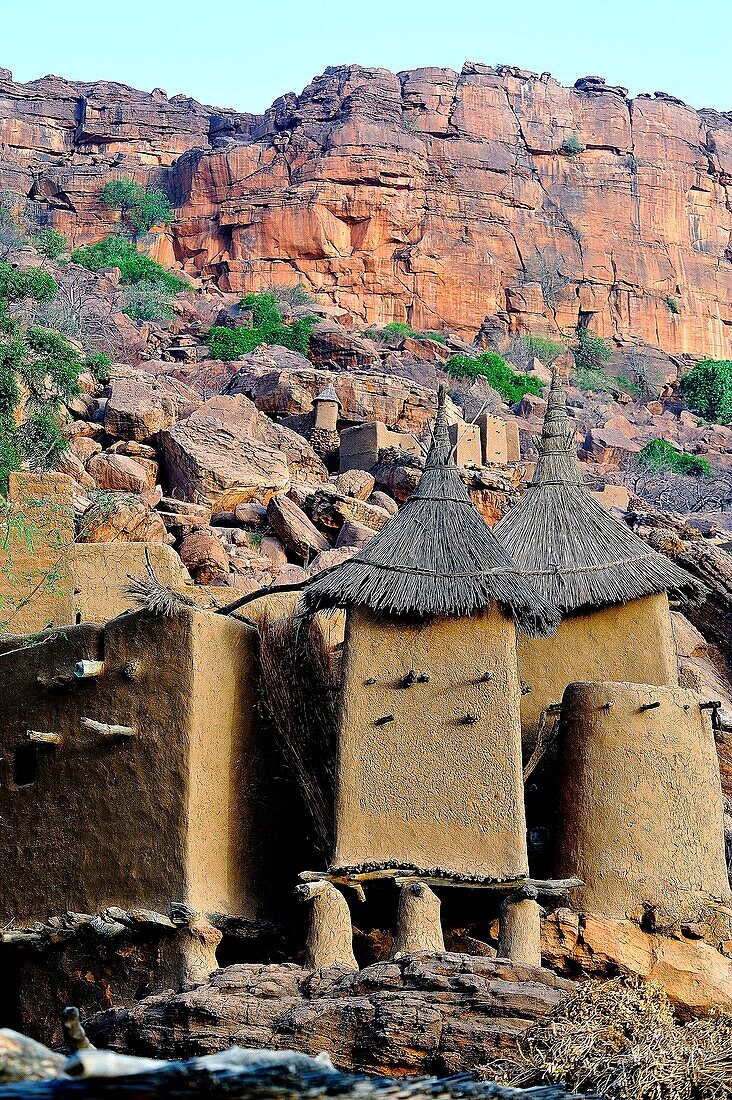 Mali, Dogon country, villages along Bandiagara cliff, village of Yendouma