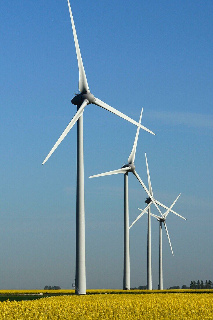 Winds-powered near Pussay, Beauce, France