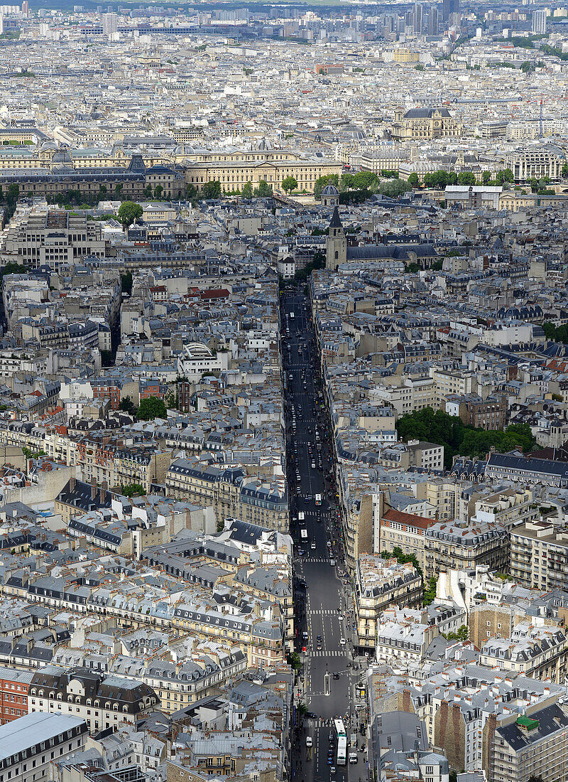 Europe, France, aerial view of the rue de Rennes in Paris, in the background the church of Saint-Germain and the Louvre
