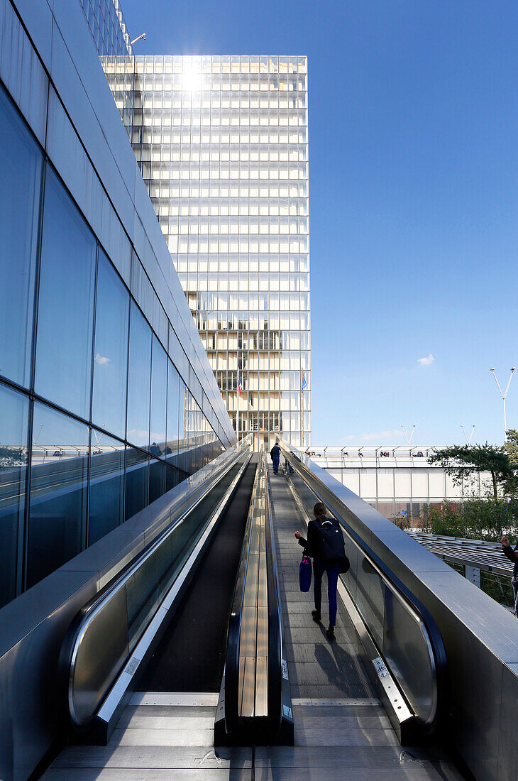 France,Paris, 13th arrondissement, Bibliothèque Nationale de France