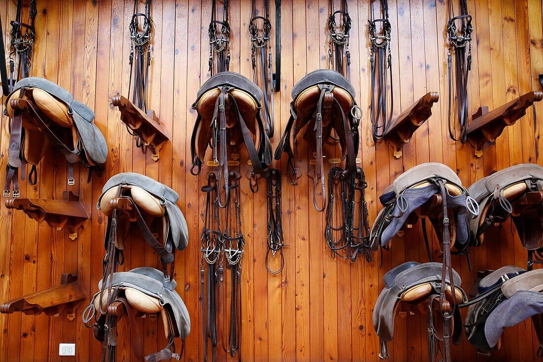 The Royal Andalusian School of Equestrian Art, Equipment, Saddles and Harnesses, Jerez, Spain