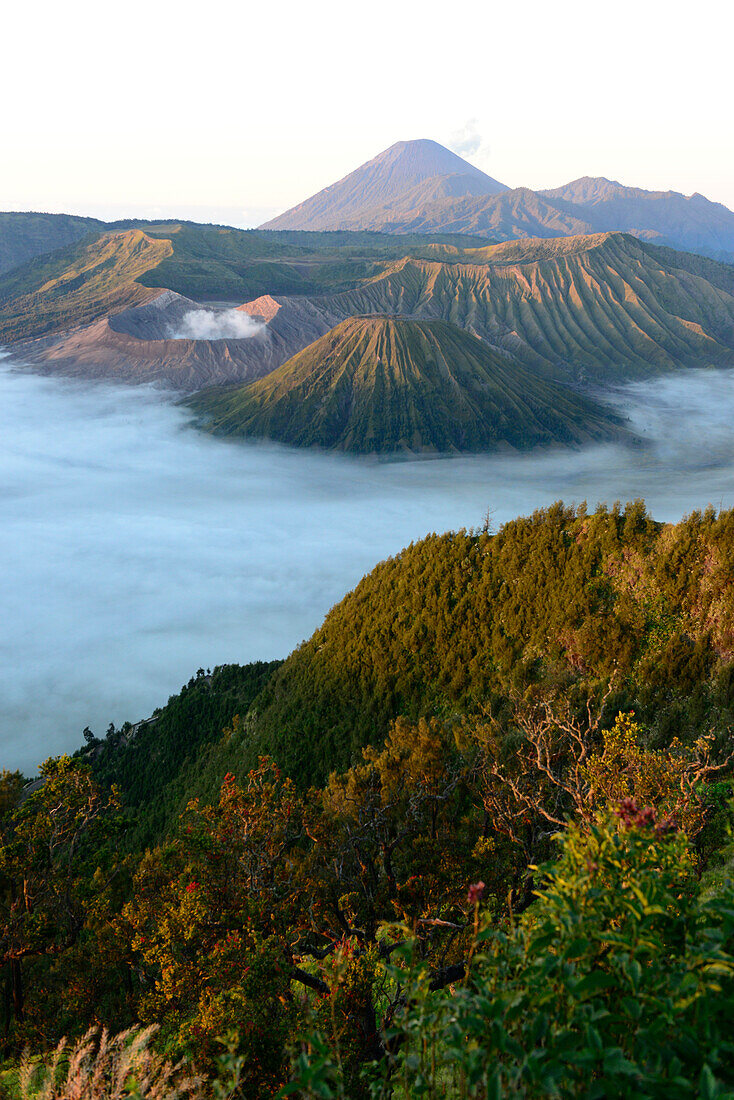 Mount Bromo volcanoes in Tengger Caldera, East Java, Java island, Indonesia, South East Asia