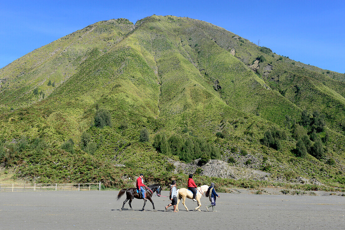 Tourists, locals and horses at Mount Bromo national park  in Tengger Caldera,East Java,Java island,Indonesia,South East Asia