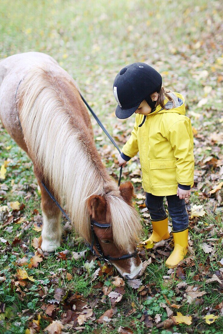 A little girl holding a pony while he is grazing