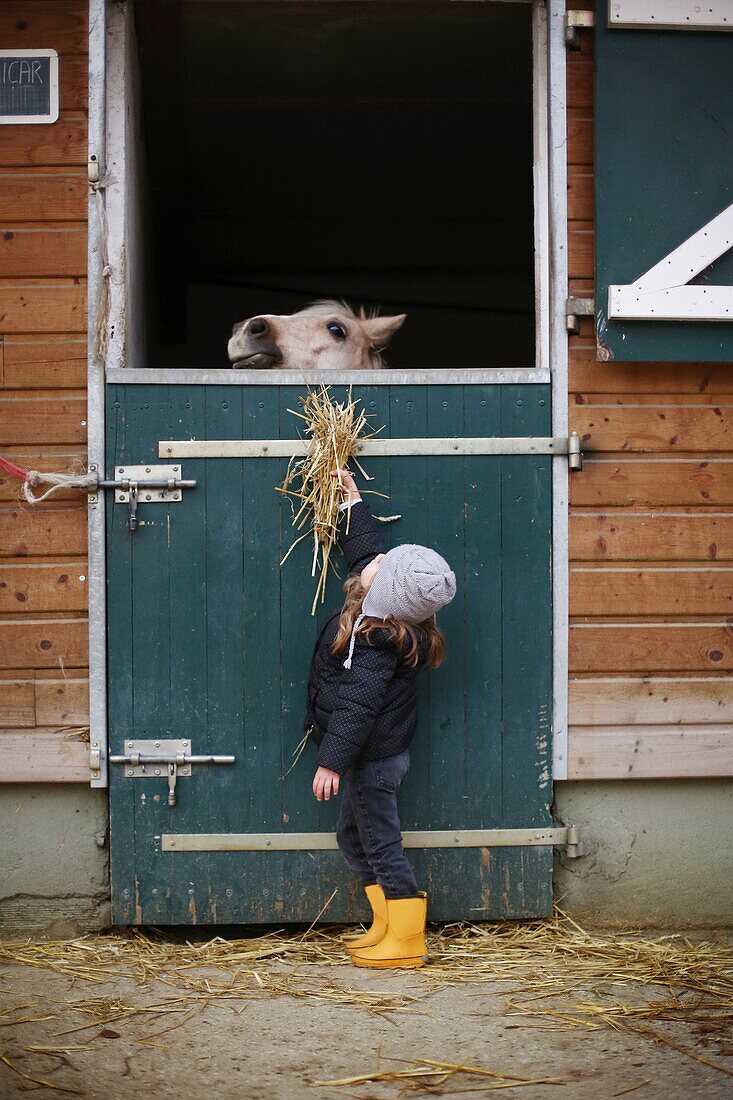 A little girl feeding a horse in a stable