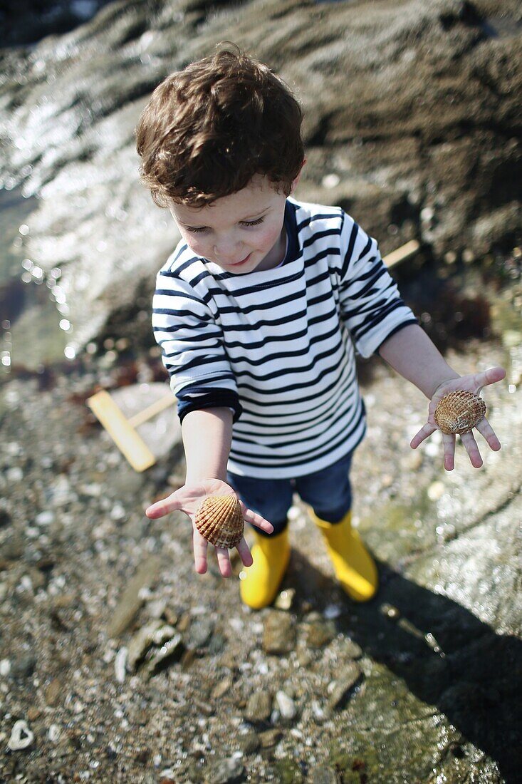 3 years old boy looking for sea shells on the beach