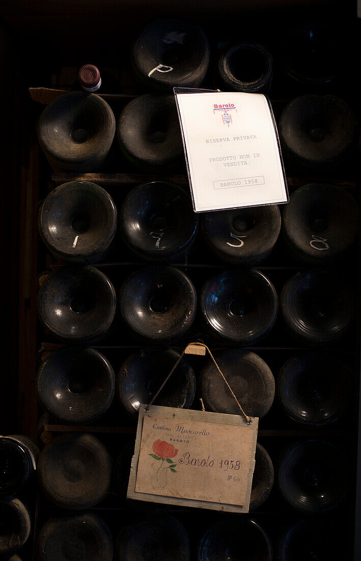 Old Wine Bottles Aging in Cellar
