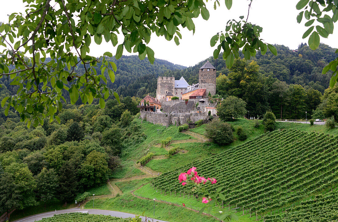 Burg von Deutschlandsberg im Weingebiet Schilcher bei Stainz, Steiermark, Österreich